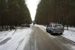 В результате наезда автомашины на дерево на Исинском тракте травмирован ребенок 