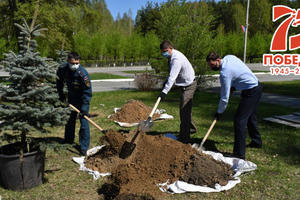 Свердловские спасатели приняли участие в международной акции «Сад памяти» 