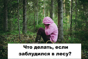 Что делать, если заблудился в лесу?