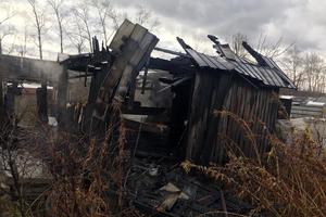 Пожары в частном доме и в коллективном саду произошли за прошедшие сутки