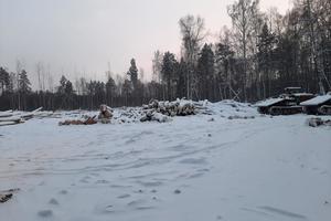 В полиции возбуждено уголовное дело в отношении жителя Пригородного района  по подозрению в незаконной рубке леса 