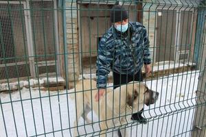 В Нижнем Тагиле представители Общественного совета при полиции в компании студентов посетили кинологический центр