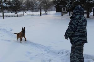 В Нижнем Тагиле представители Общественного совета при полиции в компании студентов посетили кинологический центр