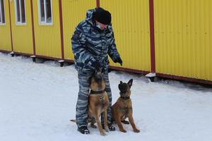 В Нижнем Тагиле представители Общественного совета при полиции в компании студентов посетили кинологический центр