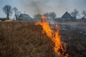 ГОРИТ СУХАЯ ТРАВА