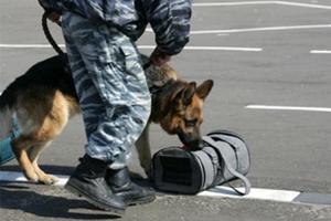 На Гальянке возле детского сада правоохранители проверили подозрительную сумку