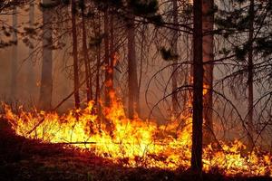 Пожары за городом в прошедшие выходные