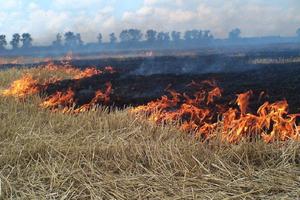 В Нижнем Тагиле начались возгорания сухой травы.