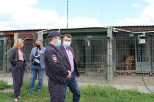 Представители Общественного Совета при полиции вместе с подопечными ЦВСНП МУ МВД России «Нижнетагильское» познакомились с работой полицейских кинологов 