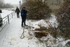 В Нижнем Тагиле спасатели вызволили пса из ловушки