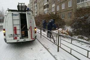 В Нижнем Тагиле спасатели вызволили пса из ловушки