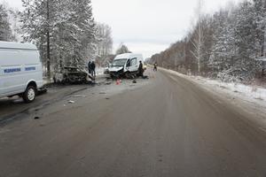 Стали известны подробности ДТП возле села под Нижним Тагилом