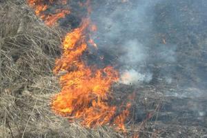 Обстановка с пожарами и загораниями в Нижнем Тагиле за неделю