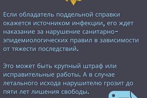 изготовление и продажа поддельных сертификатов о вакцинации против COVID-19, которое предусматривает уголовную ответственность