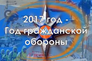 2017 год в МЧС России объявлен Годом гражданской обороны