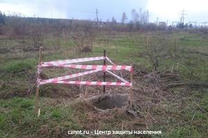 В Нижнем Тагиле пони провалился в колодец