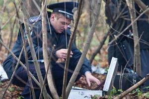 В Нижнем Тагиле найден труп пропавшего грибника