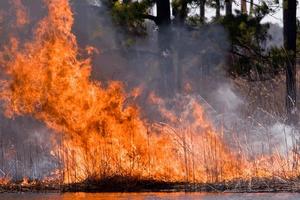 За праздники в Нижнем Тагиле произошло 29 пожаров