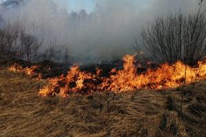 Внимание! В Свердловской области ожидается высокая пожарная опасность