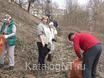 Сотрудники администрации города и районов Нижнего Тагила вышли на городской субботник